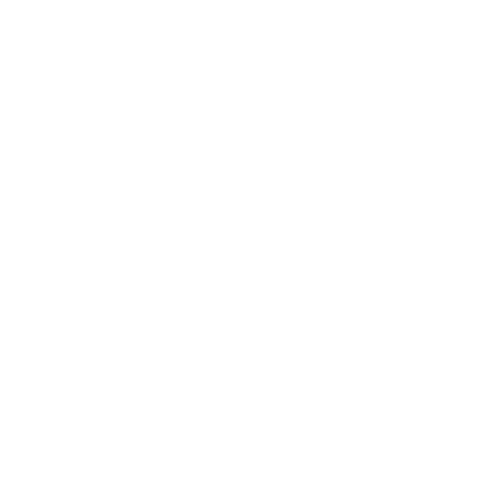 Developer Logo
